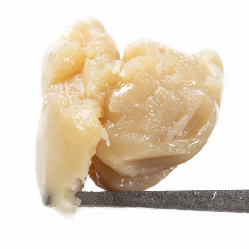 WM_Grapes_N_Cream_Live_Rosin_Cold_Cure-Badder-510x510-1.jpg